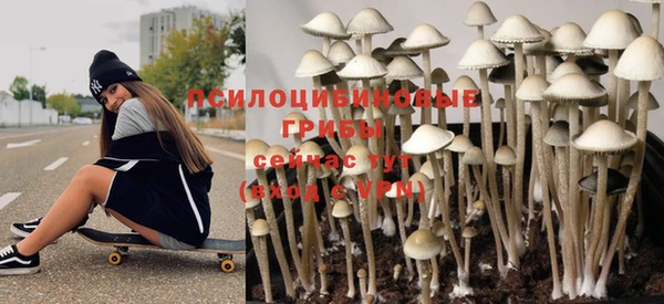 гидропоника Абдулино