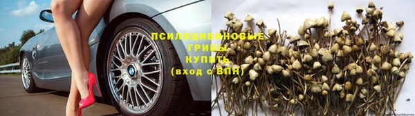 герыч Кострома